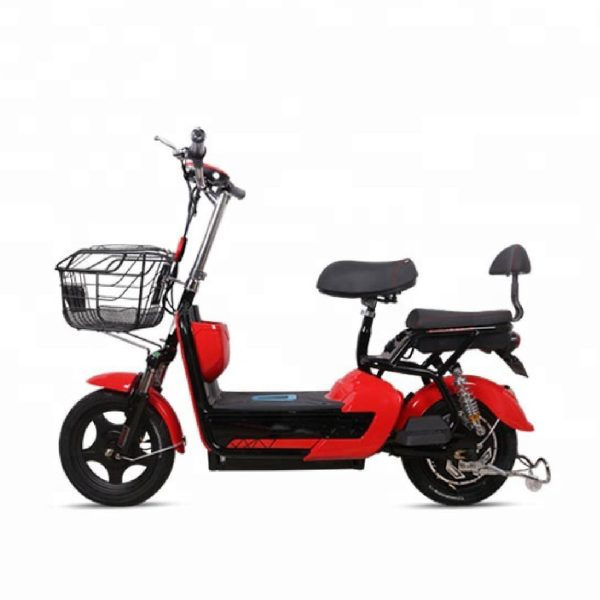 Xe đạp điện Adult