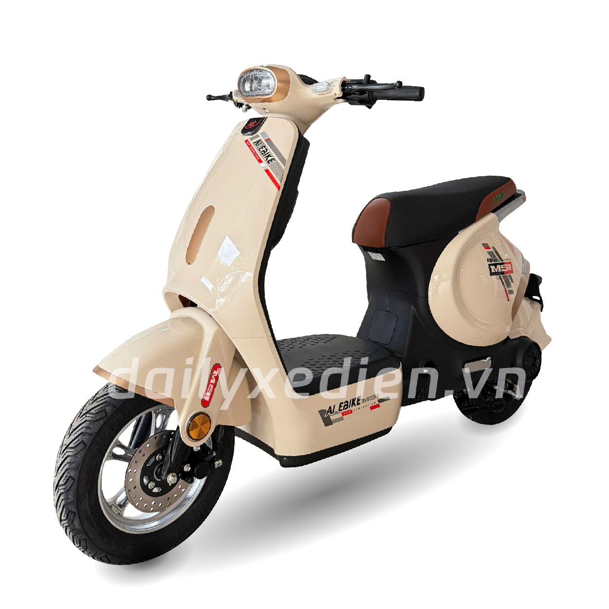 Xe đạp điện thể thao AIE MS1